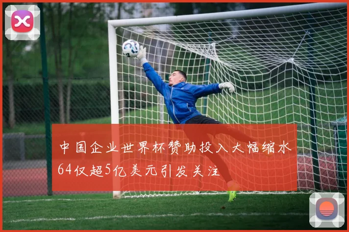 中国企业世界杯赞助投入大幅缩水64仅超5亿美元引发关注