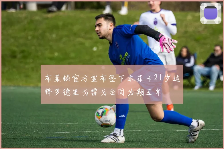 布莱顿官方宣布签下本菲卡21岁边锋罗德里戈雷戈合同为期五年