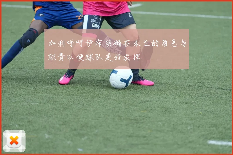 加利呼吁伊布明确在米兰的角色与职责以便球队更好发挥