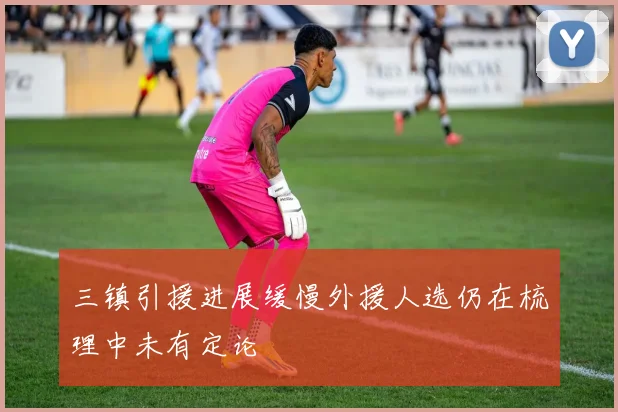 三镇引援进展缓慢外援人选仍在梳理中未有定论